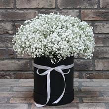 Цветочная композиция из Гипсофила в шляпной коробке #REPLACE_PRED# Языково Республика Башкортостан